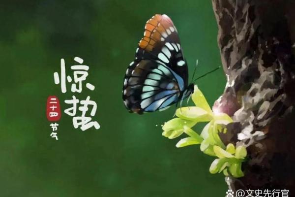 惊蛰出生的人是什么星座 惊蛰节气出生好不好