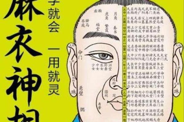 相书算命面相 相书中的面相能算命吗