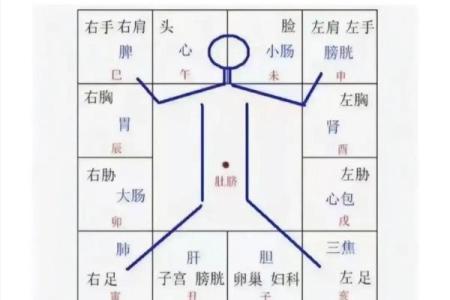 杨玉环紫薇斗数