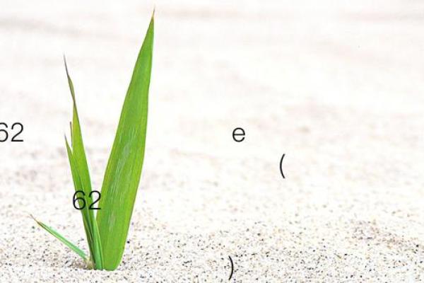 月老灵签姻缘42签解签 月老灵签姻缘42签解签