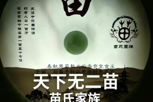 苗姓宗祠对联族谱和苗氏家族的字辈排行-姓名学-华易网姓名 苗姓宗祠对联族谱和苗氏家族的字辈排行-姓名学-华易网姓名