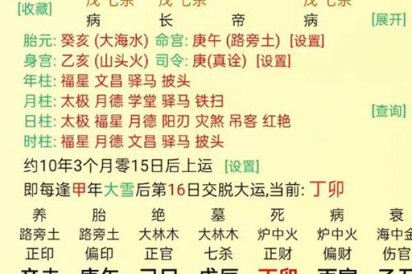 童子命在线排盘速查 根据生辰八字 得出查询结果