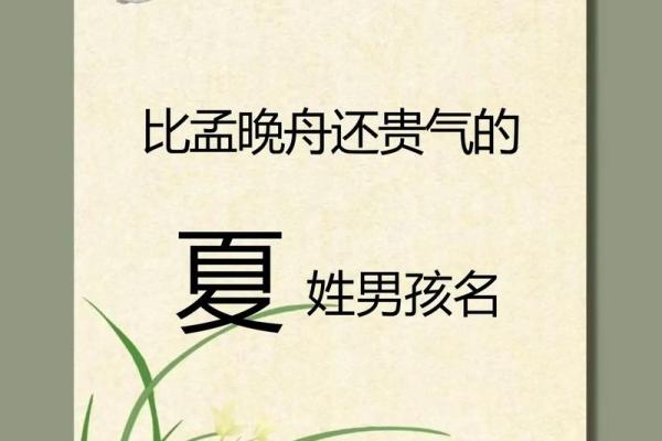2019年6月16号卯时出生的男孩起名方法姓名