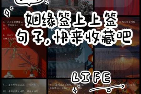 太上灵签第二十七签求姻缘