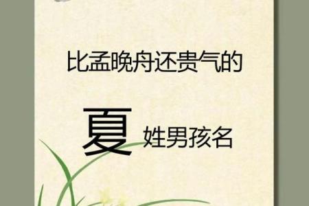 2019年6月16号卯时出生的男孩起名方法姓名