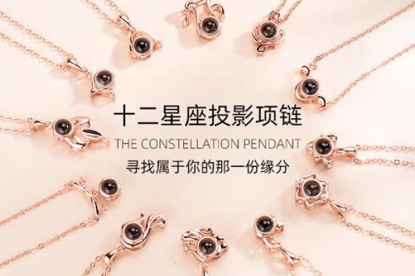 十二星座银项链，点亮你的星座能量！