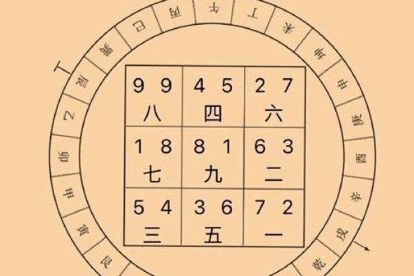 【八字基本资料查询】人生路途方向如何？