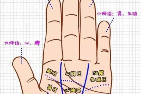 免费拍照看手相算命在线