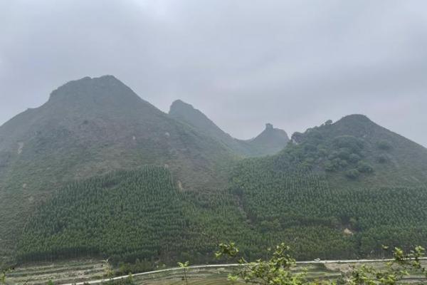 风水阴宅什么土质最好