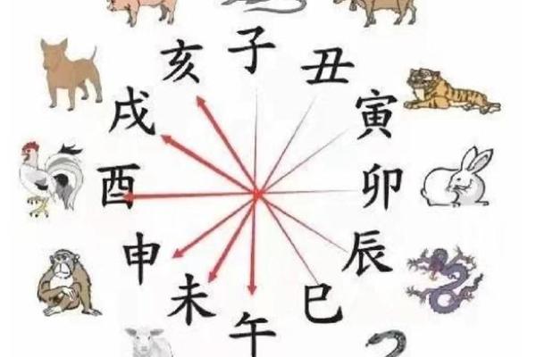 早上6点出生的属虎男孩如何起名，宜用什么字姓名