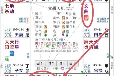 紫薇斗数书籍详解