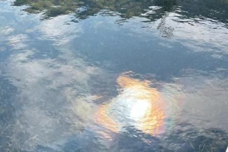 房子倒映在水中有什么风水