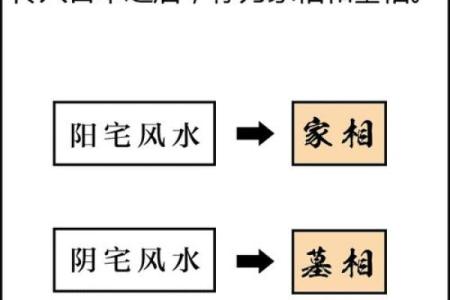 紫薇斗数预测阴宅