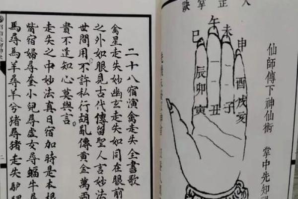 六壬金口诀与八字哪个准