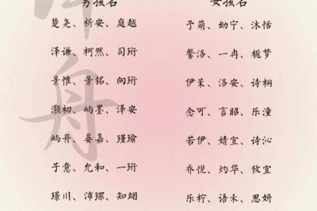 成年人改名的注意事项-姓名学-华易网姓名