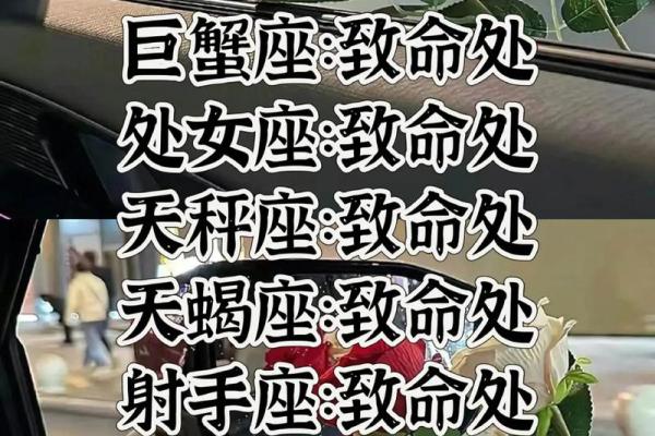 一定要有大胸的星座男