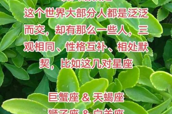 星座运势双子与天蝎座