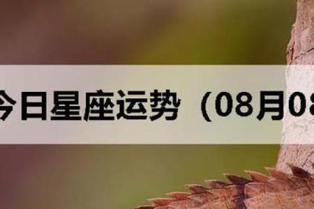 双子男星座运势摩羯