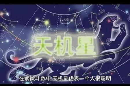 紫微斗数之事业宫与诸星，天机星在事业宫是什么意思？