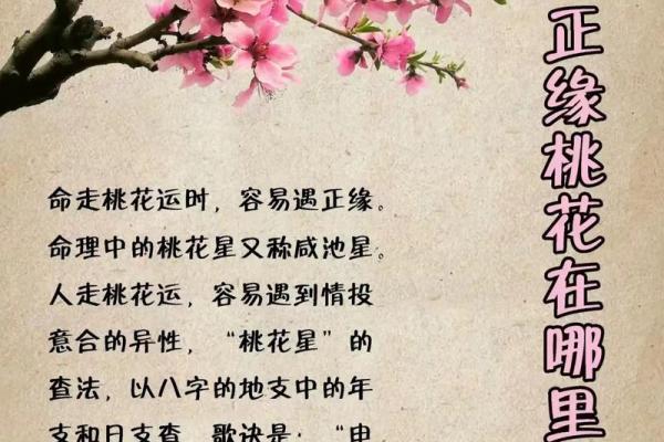 八字命理揭秘：如何从命理学角度预测体型走势？