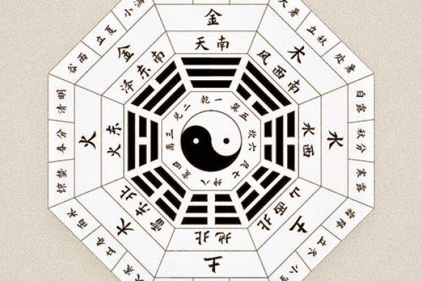 八字命理揭秘：如何从命理学角度预测体型走势？