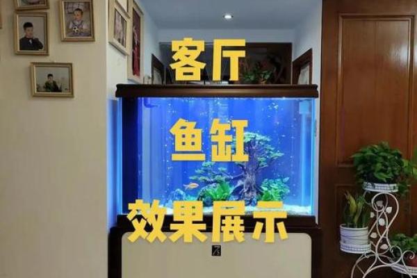在鱼缸里盖房子好不好风水