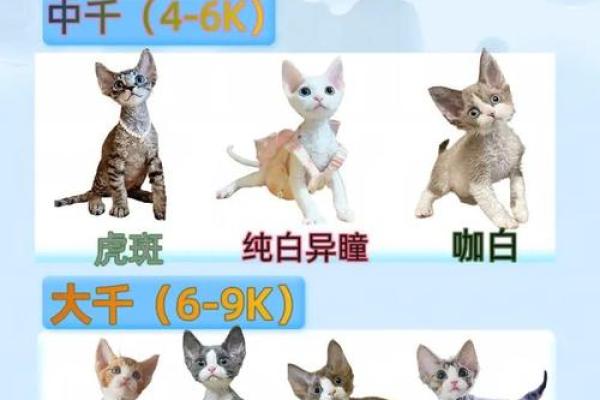 姓名测试配对前世今生的 姓名配对测二人前世关系？