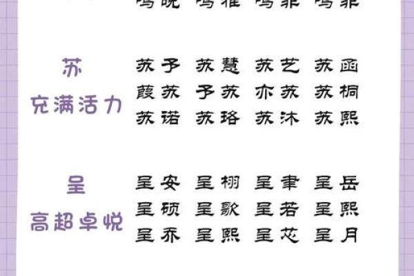 属兔寅时出生的男孩如何起名比较好姓名 属兔寅时出生的男孩如何起名比较好姓名