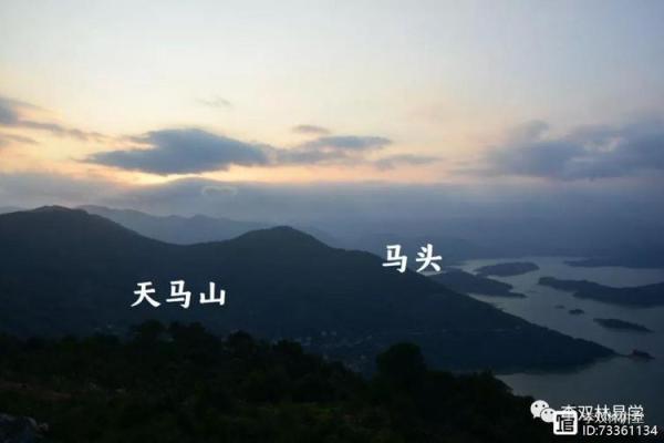 李双林谈八字格局