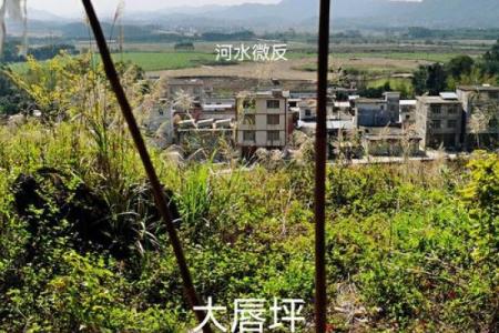 祖坟风水与后人命运有关吗