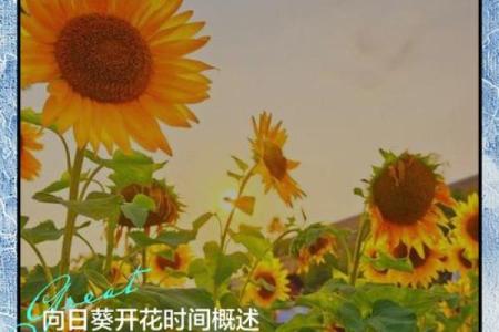 3月5日生日花语：绿菟葵，3月5日是什么星座？