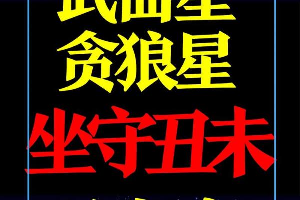 紫薇斗数看讨债