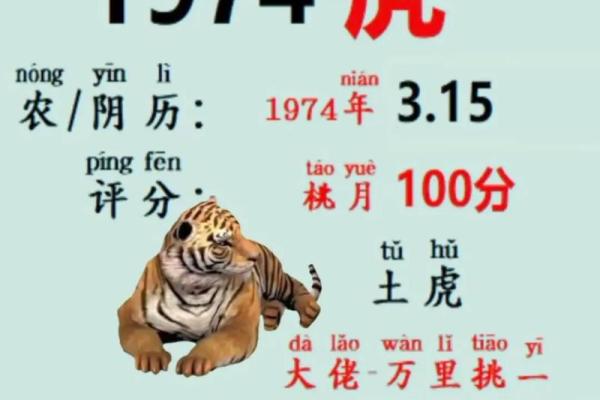 周公算命大全查询免费测试