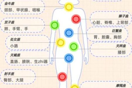 十二星座适合打什么位置