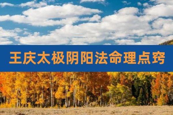 八字王庆 八字王庆