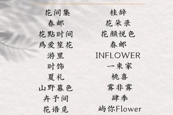 淘宝店名起名大全-姓名学姓名