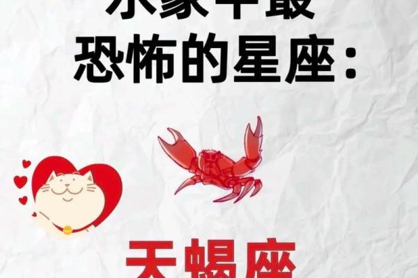 天蝎这个星座犯贱吗