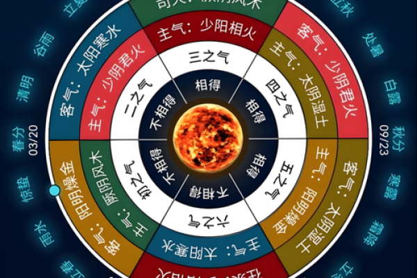 八字疾病综合论断 八字疾病综合论断