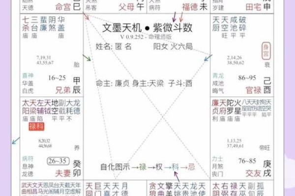紫薇斗数命盘带帝旺是什么意思