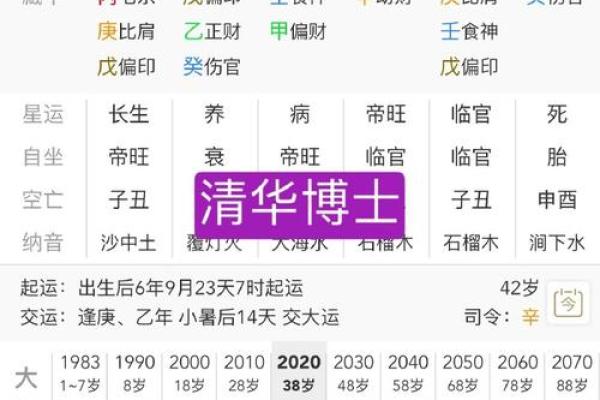 八字带有戌亥人上人,八字带戌亥是什么意思 八字带有戌亥人上人,八字带戌亥是什么意思