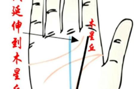 男人左手手纹算命图解婚姻线 感情线预示感情状况