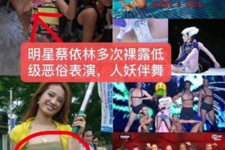 蔡依林紫薇斗数