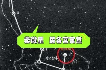 紫薇斗数紫微星位置咋确定