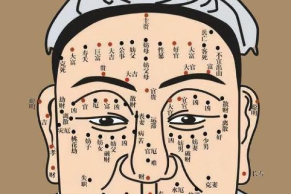 五官看面相算命图解男 男人五官面相大全 五官看面相算命图解男 男人五官面相大全