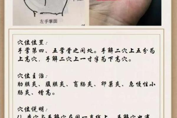 五指山算命哪里准 五指山算命哪里准