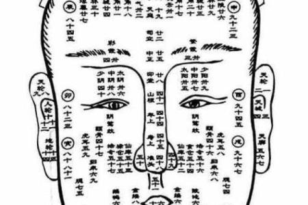 五官看面相算命图解男 男人五官面相大全