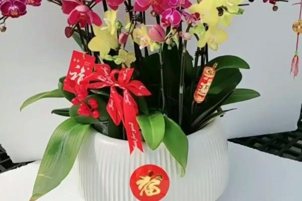 厨房招财风水也很重要 放这几种花能够招财改运 厨房招财风水也很重要 放这几种花能够招财改运