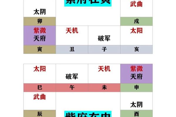 紫微斗数图录 紫薇斗数图？