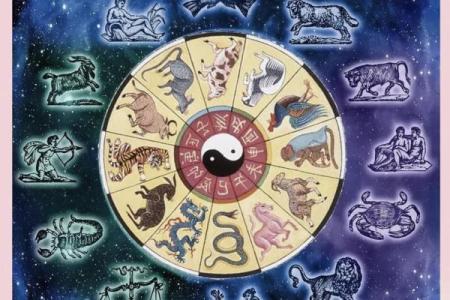 星座里面有苍蝇座吗