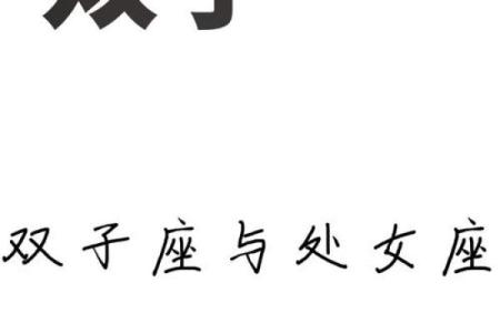 双子男最喜欢哪个星座女生身体